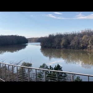 Meet your Posher, Annabelle